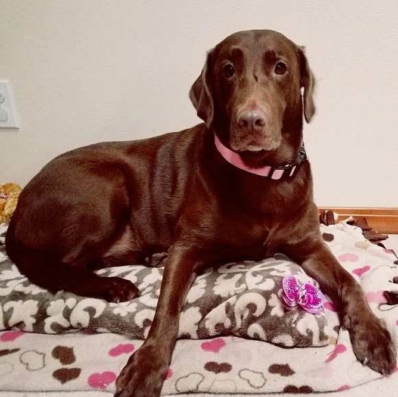 Meet your Posher, Kat - Picture 1 of 1